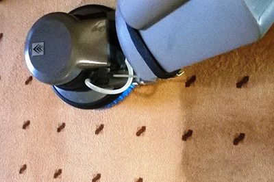 SPALATORIE/CURATATORIE DE COVOARE Cluj-Napoca