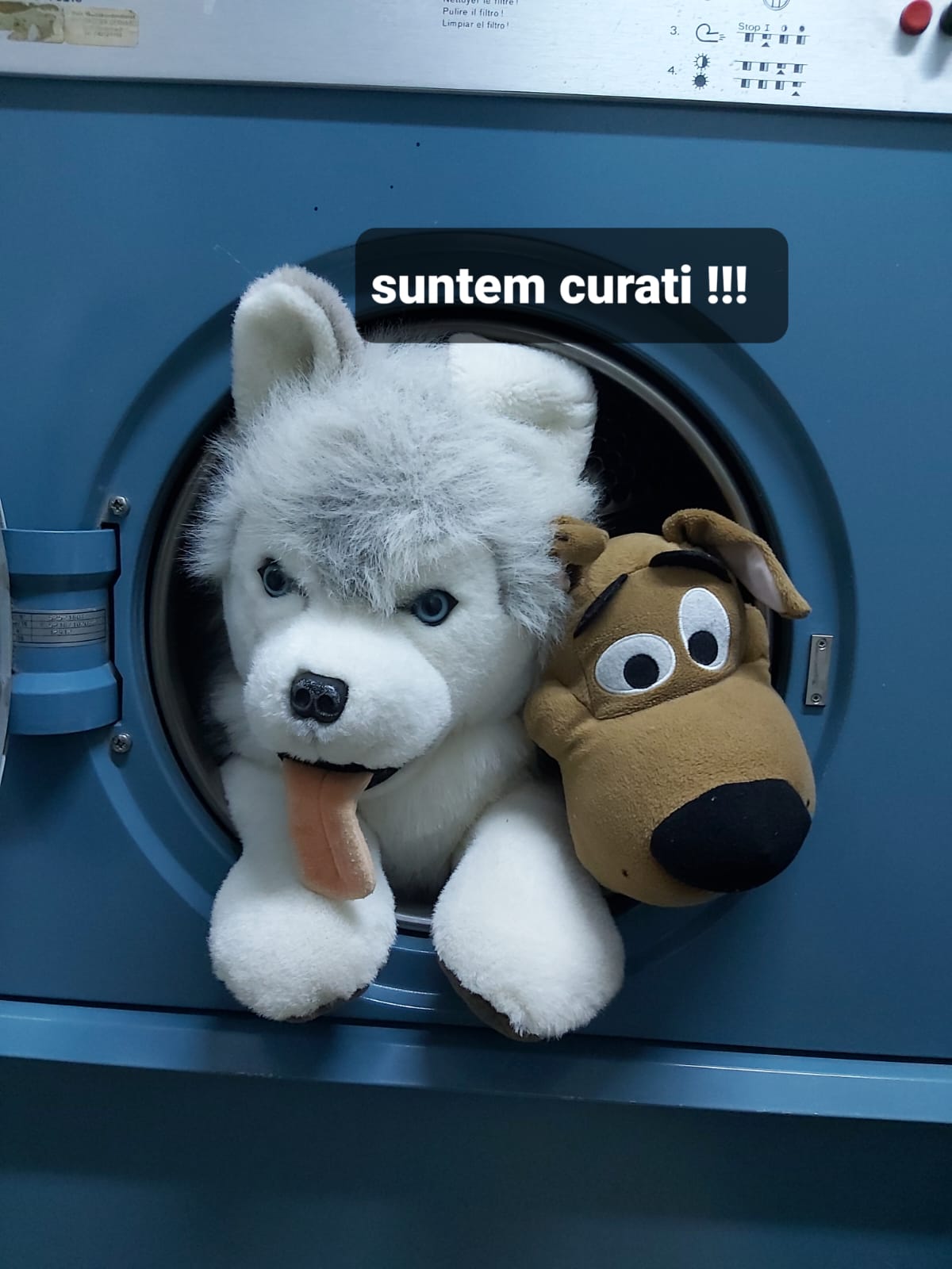 Spalatoria de Covoare ECO Baciu Cluj-Napoca