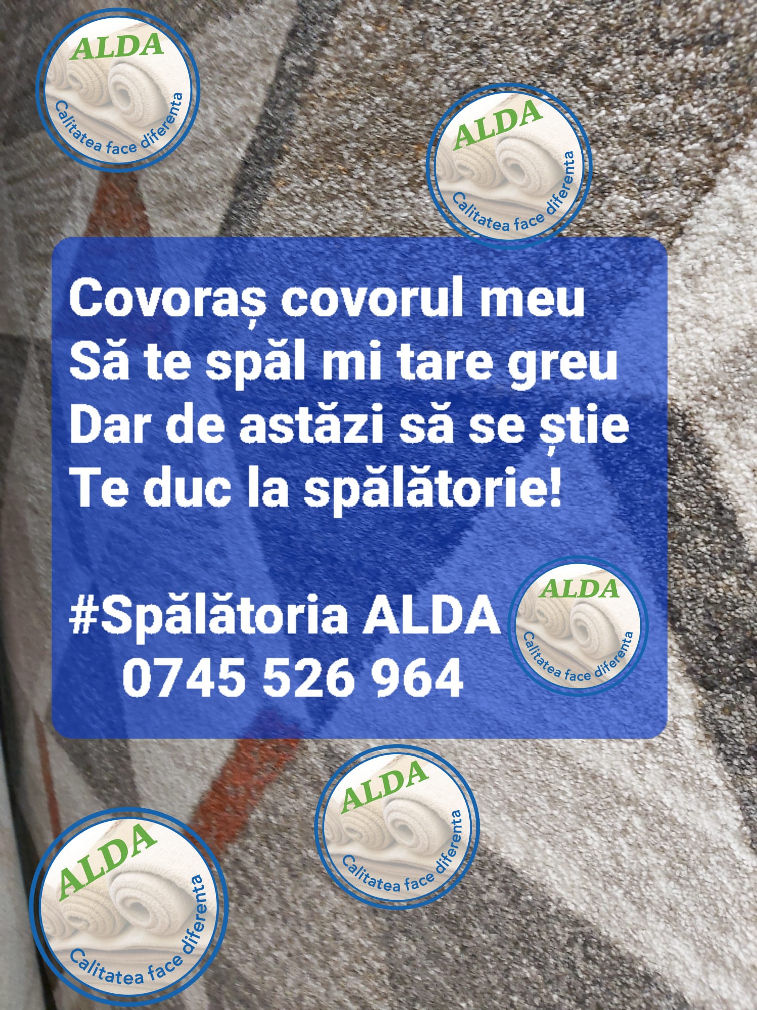 Spalatoria de Covoare ECO Baciu Cluj-Napoca